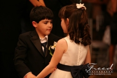 Party Central Weddings